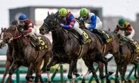 【北九州記念想定馬・騎手】ヨシノイースター、アブキールベイなど21頭