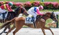 【博多S】9番人気が好成績の荒れる舞台 データが示す相性の良い種牡馬とは