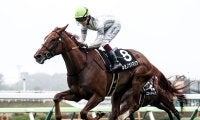 【競馬予想】函館記念は10年連続で万馬券　今年「穴」をあけそうな狙い目の２頭は？
