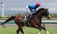 【競馬予想】ラジオNIKKEI賞は１番人気、トップハンデ馬が不振　狙い目は急成長中の伏兵２頭