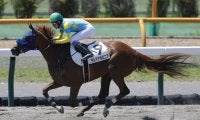 【函館3R】武豊騎乗 単勝1.5倍のデルマアポロニアが人気に応える
