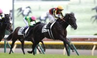 今年のダービー馬・クロワデュノールが凱旋門賞挑戦へ