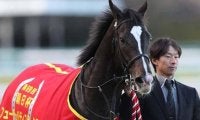新種牡馬ダノンプレミアム産駒 スミッコディスコが産駒初勝利狙う