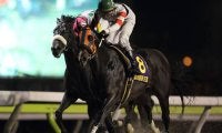 帝王賞3勝目を目指した馬 16年のホッコータルマエ