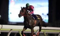 快足スマートファルコンの「9馬身差V」「2分1秒1」が燦然と輝く 帝王賞の勝ち時計ランキング