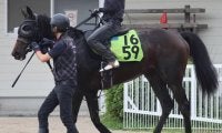 母はオークス馬シンハライト 土曜福島で初陣迎えるアランカール/関西馬メイクデビュー情報
