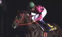 1位は“生涯最大”を記録した9馬身差 帝王賞の着差ランキングトップ5