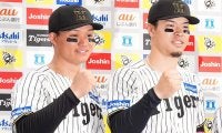 森下翔太がASファン投票全体1位…パ1位は万波、オリ宮城が接戦の末に今井上回る