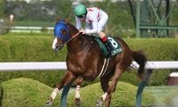 【大井・帝王賞注目馬】中央馬の15連勝か、地方馬が意地をみせるか ダート王者決定戦に13頭