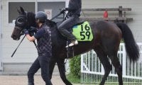 【JRA新馬戦】オークス馬シンハライトの仔アランカールなどがデビュー