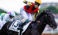 叔父は日本ダービー馬のクロワデュノール タイダルロックが初陣だ