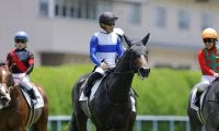 【新馬/小倉5R】ロードラヴォールが5馬身差完勝