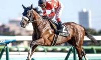 【先週のJRA抹消馬】芝中距離で4勝のレッドランメルト、昨年の小倉SJ覇者ロスコフなど
