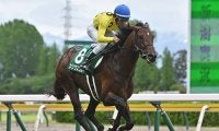 【七夕賞想定騎手】シリウスコルトは古川吉洋騎手、ドゥラドーレスは戸崎圭太騎手