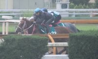 二冠牝馬チェルヴィニアの半弟チェルヴァーラ 松下師「誰が見てもいい馬」/関西馬メイクデビュー情報