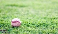 出水中央、鹿児島商などがコールドで初戦を突破！鹿児島大会【25年夏高校野球】







