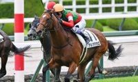 【北斗特別】半兄は名馬キタサンブラック アルマデオロが連勝なるか