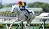 【函館5R新馬戦結果】ソダシの妹、白毛のマルガが武豊騎手とのコンビでレコード勝ち！