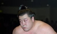 【平成の名力士列伝：智乃花】27歳で角界入りを果たし、人気小兵力士として活躍した異色の元アマ横綱＆高校教師