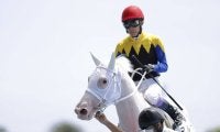 【新馬/函館5R】白毛馬マルガが武豊を背に完勝…ソダシの半妹