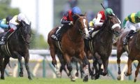 【小倉記念登録馬】メリオーレムなど18頭