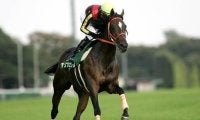 2歳重賞勝ち馬史上最大の馬体減 “-22kg”で制したアンブロワーズの函館2歳S