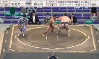 「すごい髪型」熱戦を終えた力士の髪型に衝撃「ポニーテールだ」「髷の乱れ方がカッコ良い」珍光景に熱視線