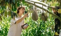 サッカー元日本代表・坂井達弥さんがドリアン栽培？タイで歩む異色のセカンドキャリア
