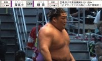 「そのままやん」尊富士の“個性派”化粧まわしにツッコミの声「配色だけでそれとわかる」「わかりやすいw」納得の意見も