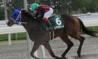 【函館2歳S】17年ぶりの重賞制覇なるか ホッカイドウ競馬出身のマル地・エイシンディードが参戦