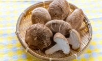 実はすごい！しいたけの驚くべき効果効能