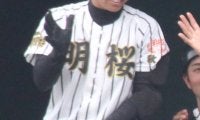 明桜がベスト4進出！鹿角は春の秋田王者を下して4強入り！秋田大会【25年夏高校野球】