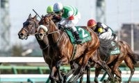24年ダービー卿CT覇者パラレルヴィジョンが登録抹消 地方競馬に移籍予定