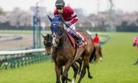 【関屋記念想定馬・騎手】ボンドガール、イミグラントソングなど17頭