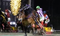 過去最多2万超の投票から選出！「第37回ばんえいグランプリ」ファン投票1位はメムロボブサップ