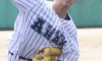 阿南光がコールドで初戦突破！阿波、徳島北も2回戦進出！徳島大会【2025年夏高校野球】