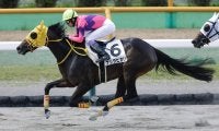 【函館2R】武豊ナリタヒカリが人気に応える