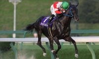 【盛岡・やまびこ賞】サンロックンロールが圧巻の8馬身差V！不来方賞の権利獲得