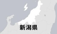 新潟商が北信越地区大会に出場
