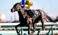 【先週のJRA抹消馬】芝重賞3勝を挙げたカラテ、ダートで活躍したケンシンコウなど