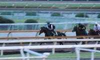 初陣迎えるクールドリオン 庄野師「この馬が一番父に似ている」/関西馬メイクデビュー情報