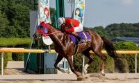 【佐賀・霧島賞】ルピナステソーロが逃げ切りV…永森大智騎手「理想の形、馬の実力で凌いでくれた」