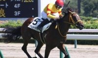 開幕週の新潟芝は高速馬場 新潟日報賞はイサチルシーサイドの逃げ切りがあるぞ