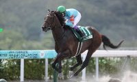 武豊騎手 今週の騎乗馬…東海Sはヤマニンウルスとのコンビ
