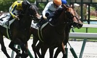 【中京4R新馬戦結果】ロードカナロア産駒マイケルバローズが接戦を制す