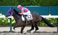 【札幌5R新馬戦結果】ルヴァンスレーヴ産駒テイエムキハクが押し切り勝ち