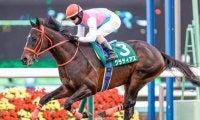21年京成杯の覇者グラティアスが登録抹消 今後は乗馬に