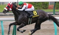 【札幌日経賞】4歳が好成績 人気馬の信頼度が高い長距離戦