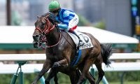 【札幌5R新馬戦結果】キズナ産駒サンセットゴールドが人気に応えてV