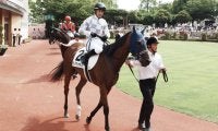 【新潟1R】ルメール「マイルちょうど良い」素質馬ディアダイヤモンドが圧勝
